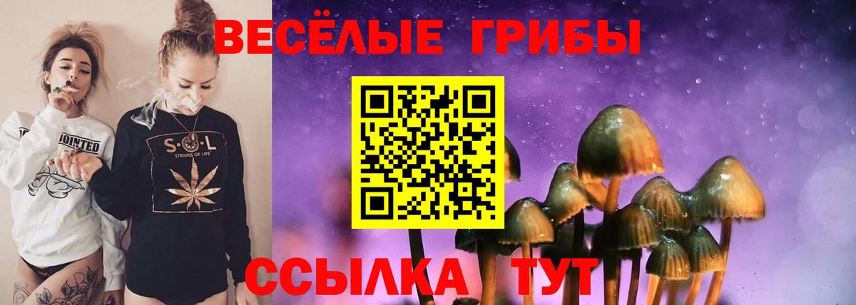 Галлюциногенные грибы мухоморы  где продают наркотики  Вход с VPN  Ялта  Псилоцибиновые грибы Psilocybine cubensis 